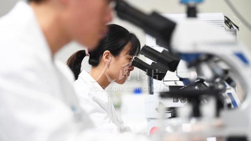 如何甄别优质CRO优化公司：关键指标与避坑指南
