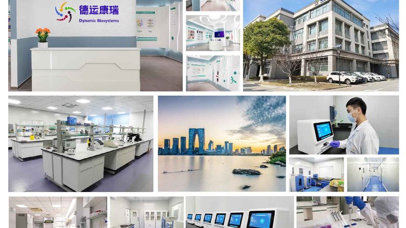 CDMO服务流程哪家好