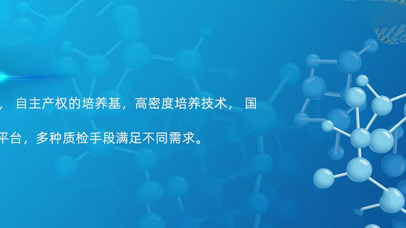 单克隆抗体定制服务：揭秘其背后的技术奥秘与选择要点