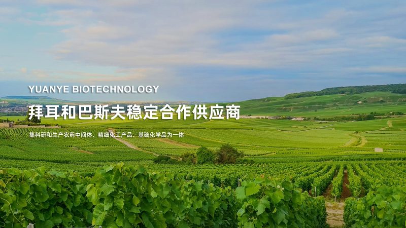 实验室耗材存放不当，一纸整改单让项目停摆