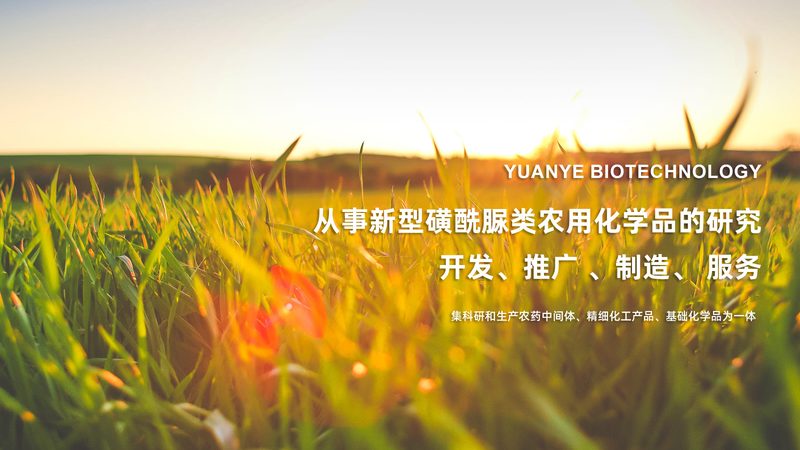 CDMO服务按阶段收费，揭秘医药研发的“经济账