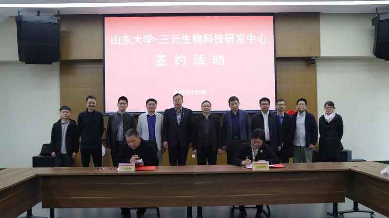 谷歌Optimize替代工具：探索精准优化新选择