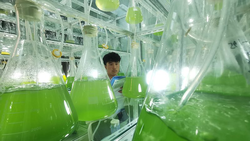 生物试剂采购平台物流配送：效率与合规的双重考量
